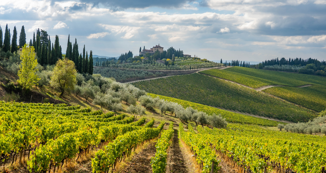 Tuscany’s Wine Wonderland: Unleash the Grape Escape on a Captivating Road Trip Tuscany’s Wine Wonderland: Unleash the Grape Escape on a Captivating Road Trip